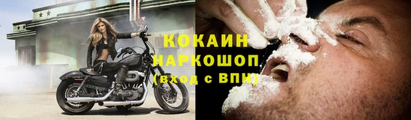 сатива Заволжье