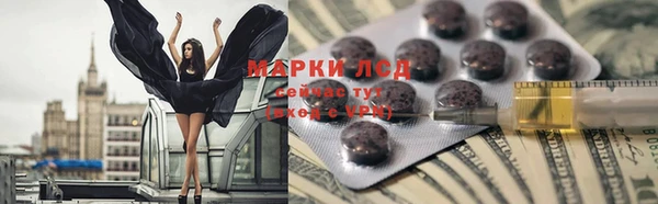 сатива Заволжье
