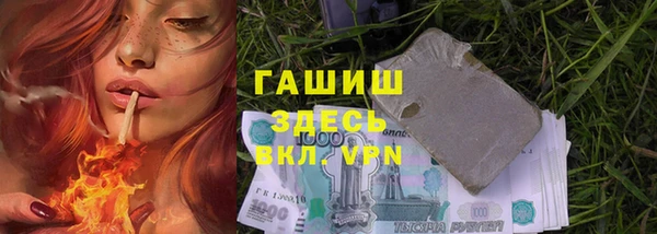 сатива Заволжье
