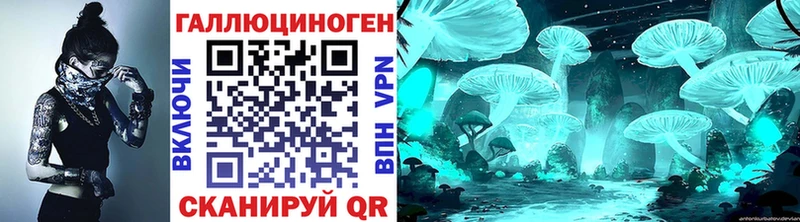 Галлюциногенные грибы Psilocybine cubensis  Салаир 